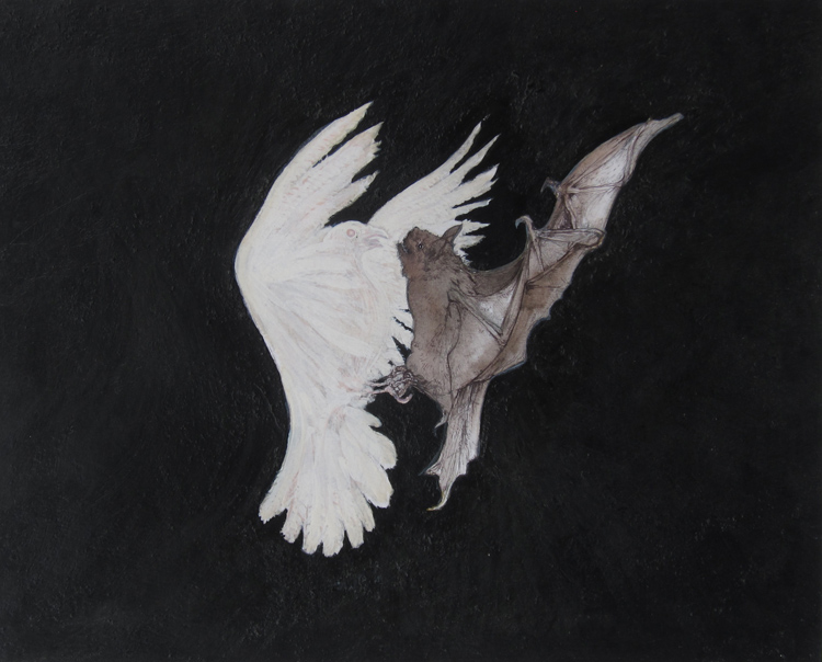 Bat and Dove