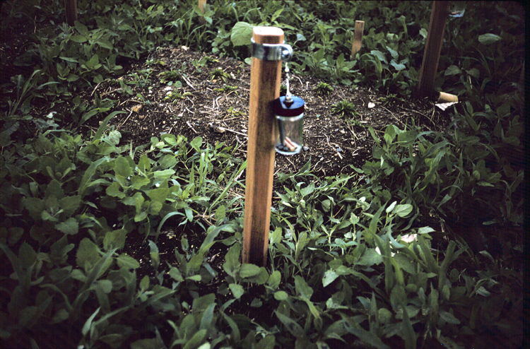 Plot Marker, used in Revival Field