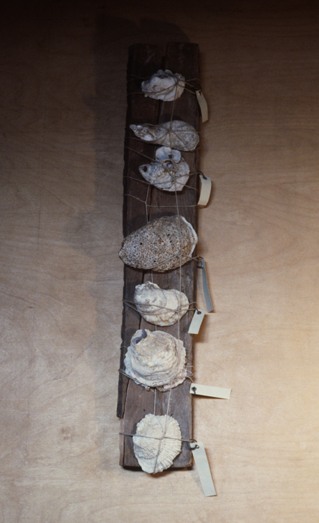 Oyster Stick