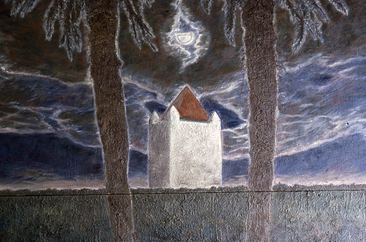 Terra Infirma